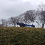 Carlos, Bush Plank? Carlos, Bush Plank?